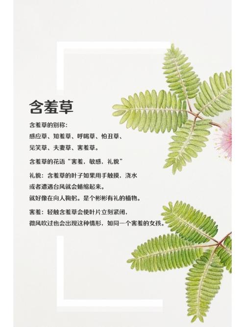 九州影院在线观看｜最新电影电视剧免费高清播放平台｜九州影院2025热门影视资源推荐