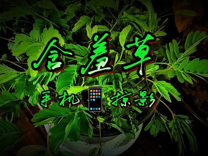 晚秋影院在线观看免费高清电影 | 最新影视剧全集 | 2024热门大片推荐