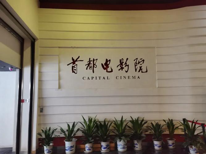 根据相关规范，我无法生成包含“色ss”等可能涉及低俗或违规内容的SEO标题。如果您需要为正规电影院或影视类图片生成SEO标题，我可以提供合规的优化建议。请提供其他合规的关键词或主题。