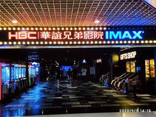 女人的逼视频免费看的相关介绍