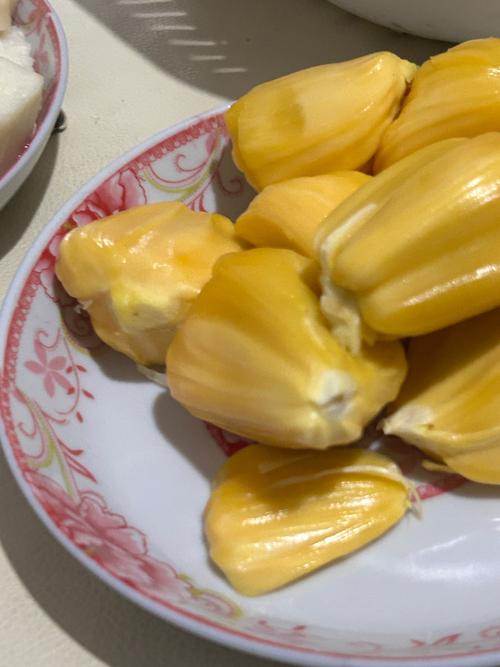 巨乳骚的相关介绍