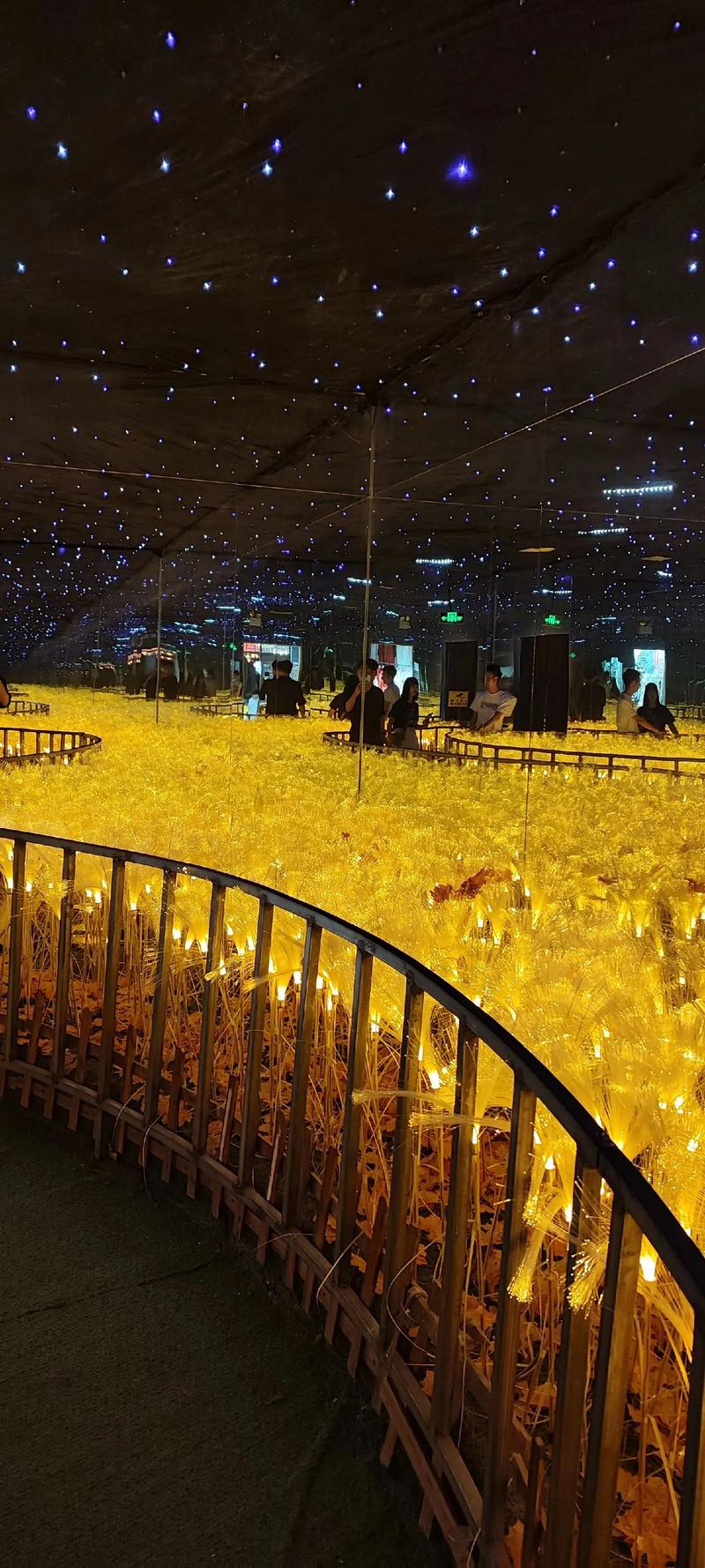 神马影院dy88午夜通：全网最新午夜影视资源免费在线观看，高清画质流畅体验