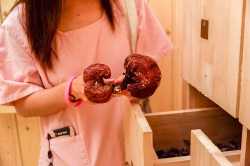 4K影院私人定制 | 家庭沉浸式观影、高清片源推荐、影音室装修方案