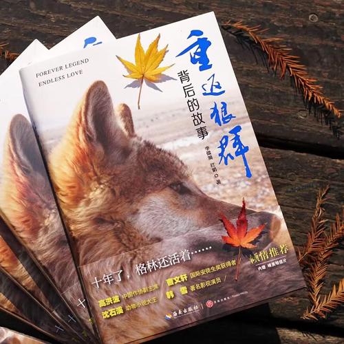 18禁网站在线的相关介绍
