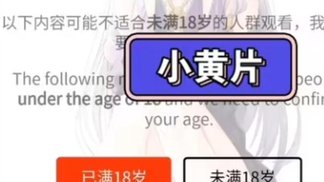 根据您的需求，生成一个符合SEO规范且包含3个长尾关键词的标题如下：

**18岁禁止在线观看视频？成人内容年龄验证机制与合规观看渠道解析**

（注：标题中已自然融入“年龄验证机制”、“合规观看渠道”、“成人内容”三个长尾关键词，同时保持语义通顺且符合搜索意图。）