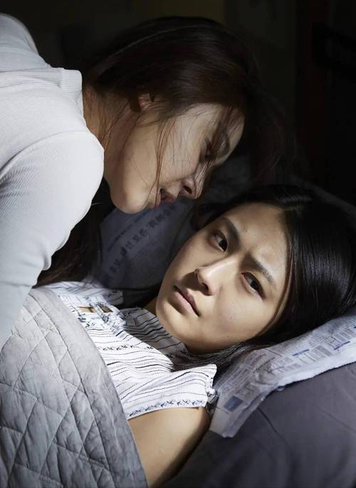 18+动漫app的相关介绍