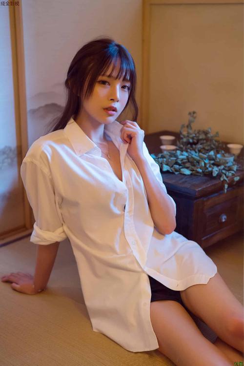av荡欲少妇的相关介绍
