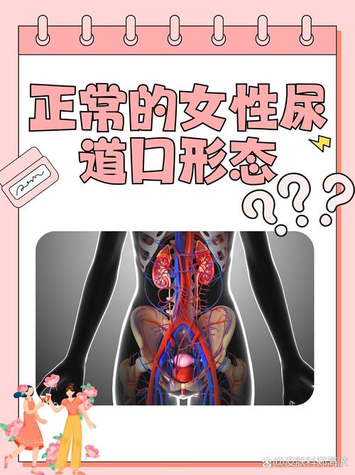 激情综合色综合久久丁香的相关介绍